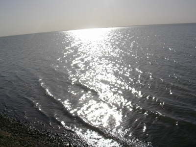 DSCN0615